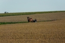 Landwirtschaft