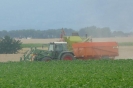 Landwirtschaft