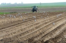Landwirtschaft