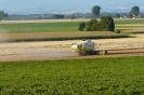 Landwirtschaft