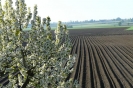Landwirtschaft