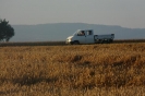 Landwirtschaft