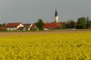 Landwirtschaft