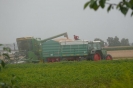 Landwirtschaft