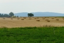 Landwirtschaft