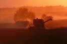 Landwirtschaft