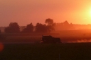 Landwirtschaft