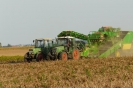 Landwirtschaft