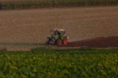 Landwirtschaft