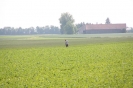 Landwirtschaft