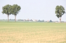 Landwirtschaft