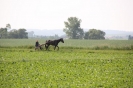 Landwirtschaft