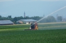 Landwirtschaft