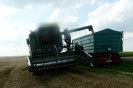 Landwirtschaft