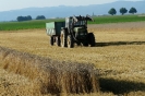 Landwirtschaft