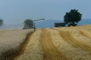 Landwirtschaft