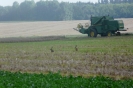 Landwirtschaft
