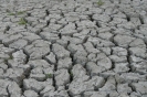 Landwirtschaft