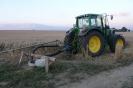 Landwirtschaft