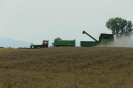 Landwirtschaft