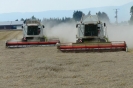 Landwirtschaft