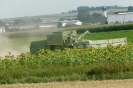 Landwirtschaft