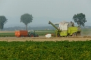 Landwirtschaft