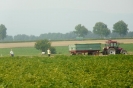 Landwirtschaft