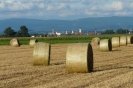 Landwirtschaft