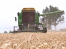 Bilder aus Landwirtschaft