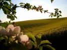Bilder aus Landwirtschaft