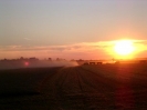 Bilder aus Landwirtschaft