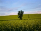 Bilder aus Landwirtschaft