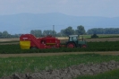 Landwirtschaft