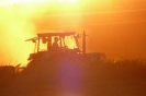 Landwirtschaft