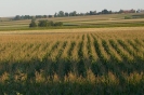 Landwirtschaft