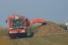 Landwirtschaft