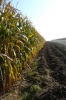 Landwirtschaft