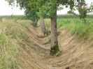 Augraben räumen