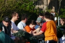 Maibaumaufstellen 2008 21