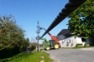 Maibaumaufstellen 2008 14