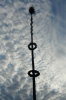 Maibaumaufstellen 2008 84