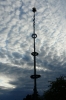 Maibaumaufstellen 2008 85