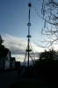 Maibaumaufstellen 2008 65