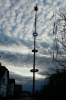Maibaumaufstellen 2008 86