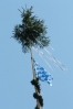 Maibaum