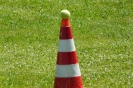 Bilder vom Rasenmäherrennen