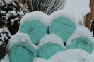 Schnee wohin man schaut