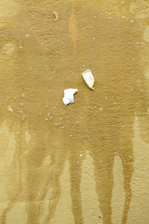 P1370726