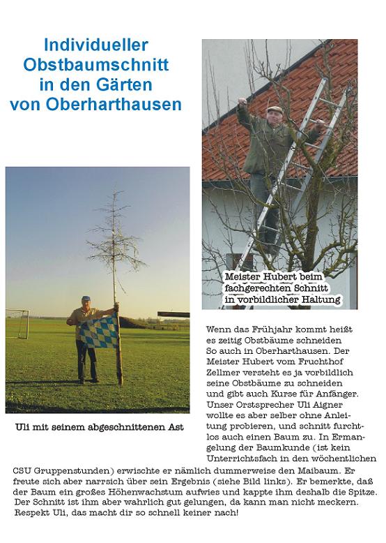 Obstbaumschnitt